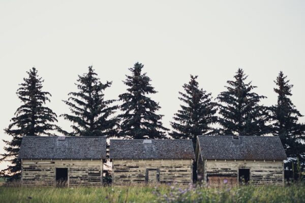 Photo Rustic cabins